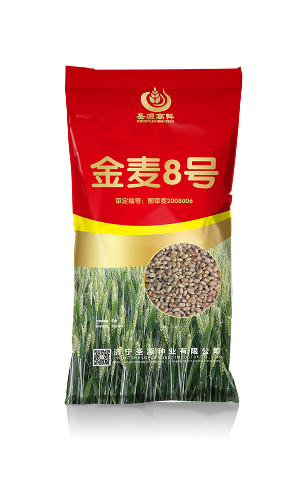 金麥8號(hào) 